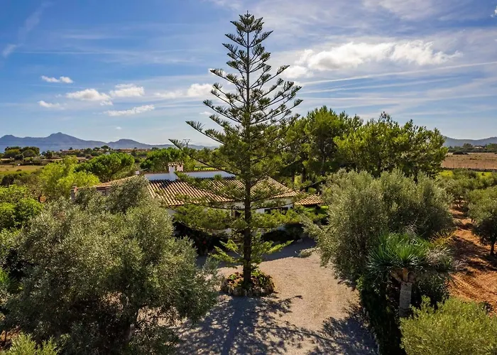 Auba By Sealand بورت دي بوينسا